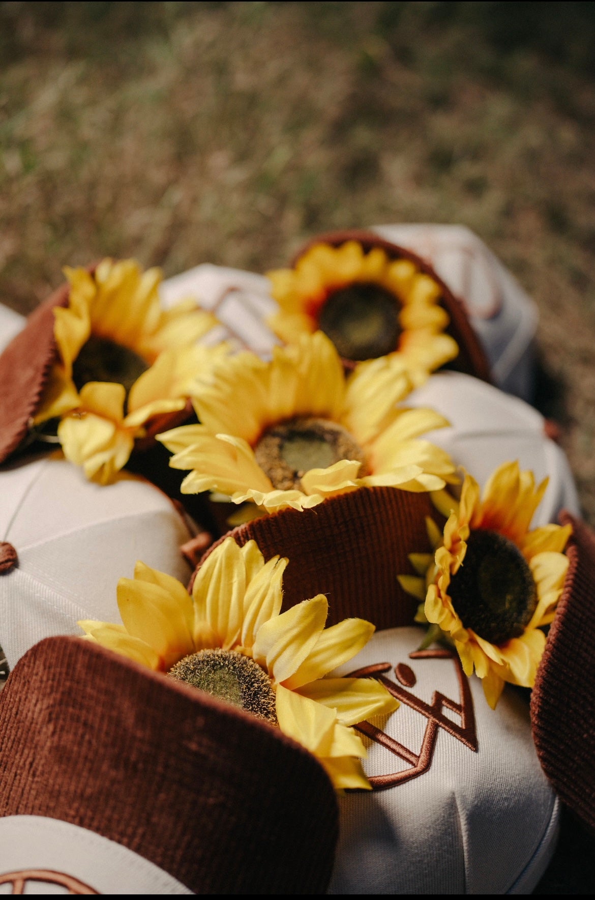 alber.dose Girasoles Cap